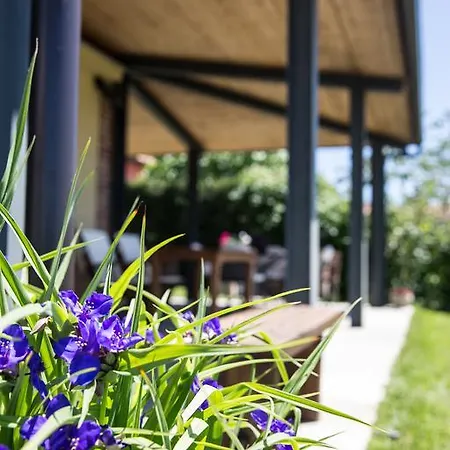 Bricco Torricella Country house *