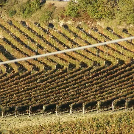 Bricco Torricella Casa rural
