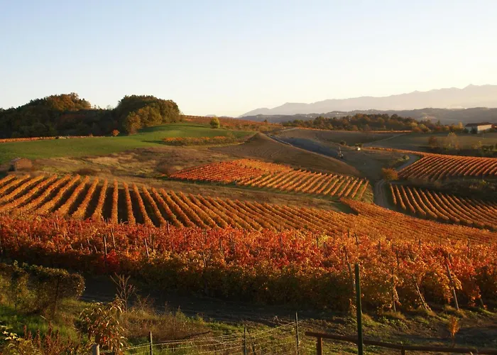 Venkovský dům Bricco Torricella