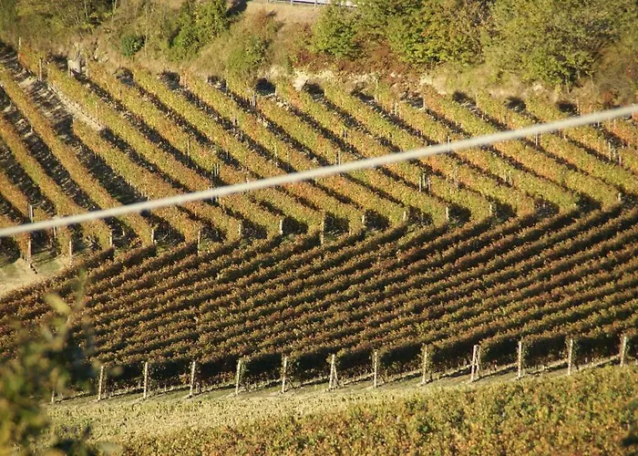 Bricco Torricella Venkovský dům